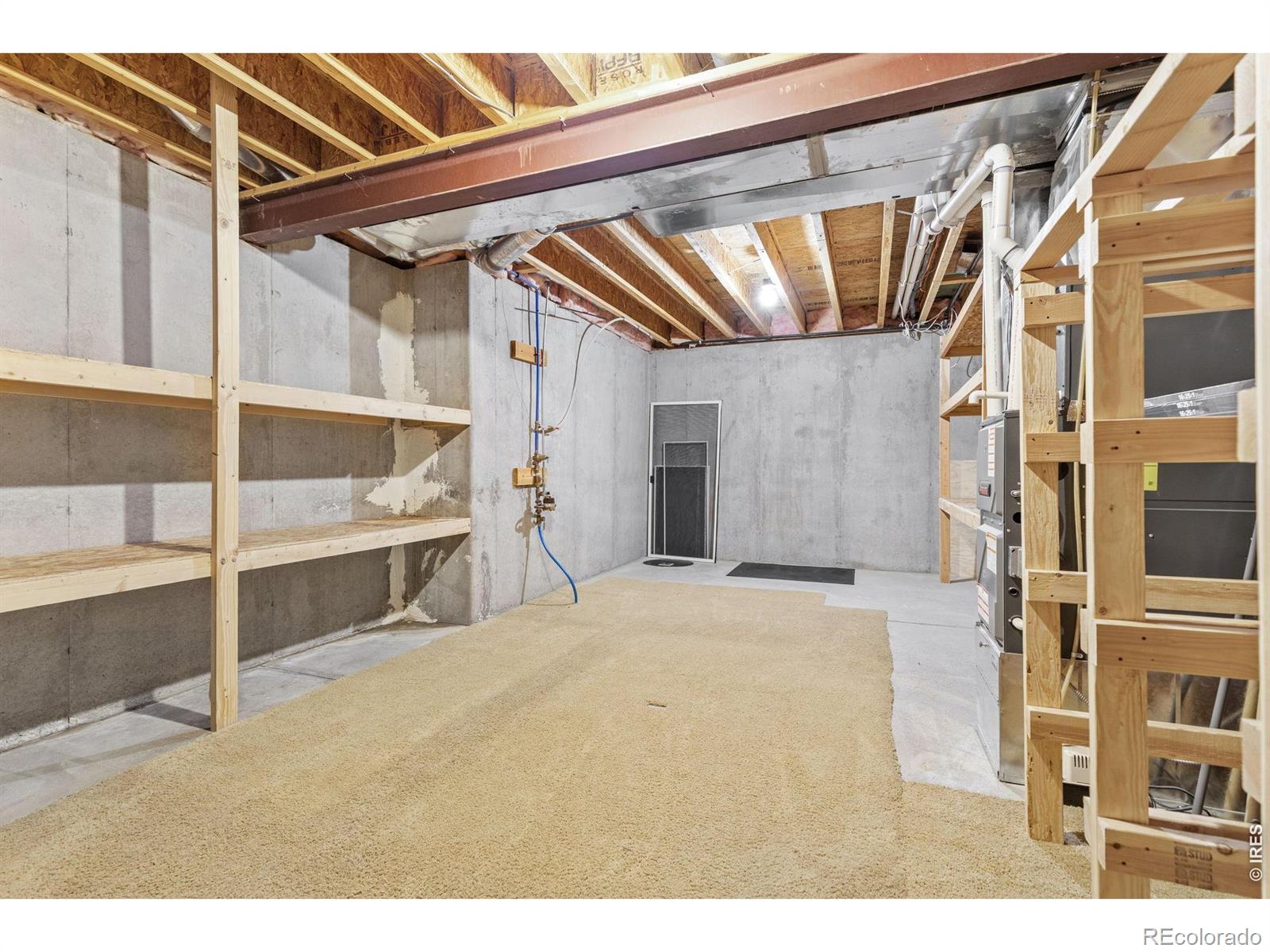 MLS Image #39 for 5514  flamboro drive,windsor, Colorado
