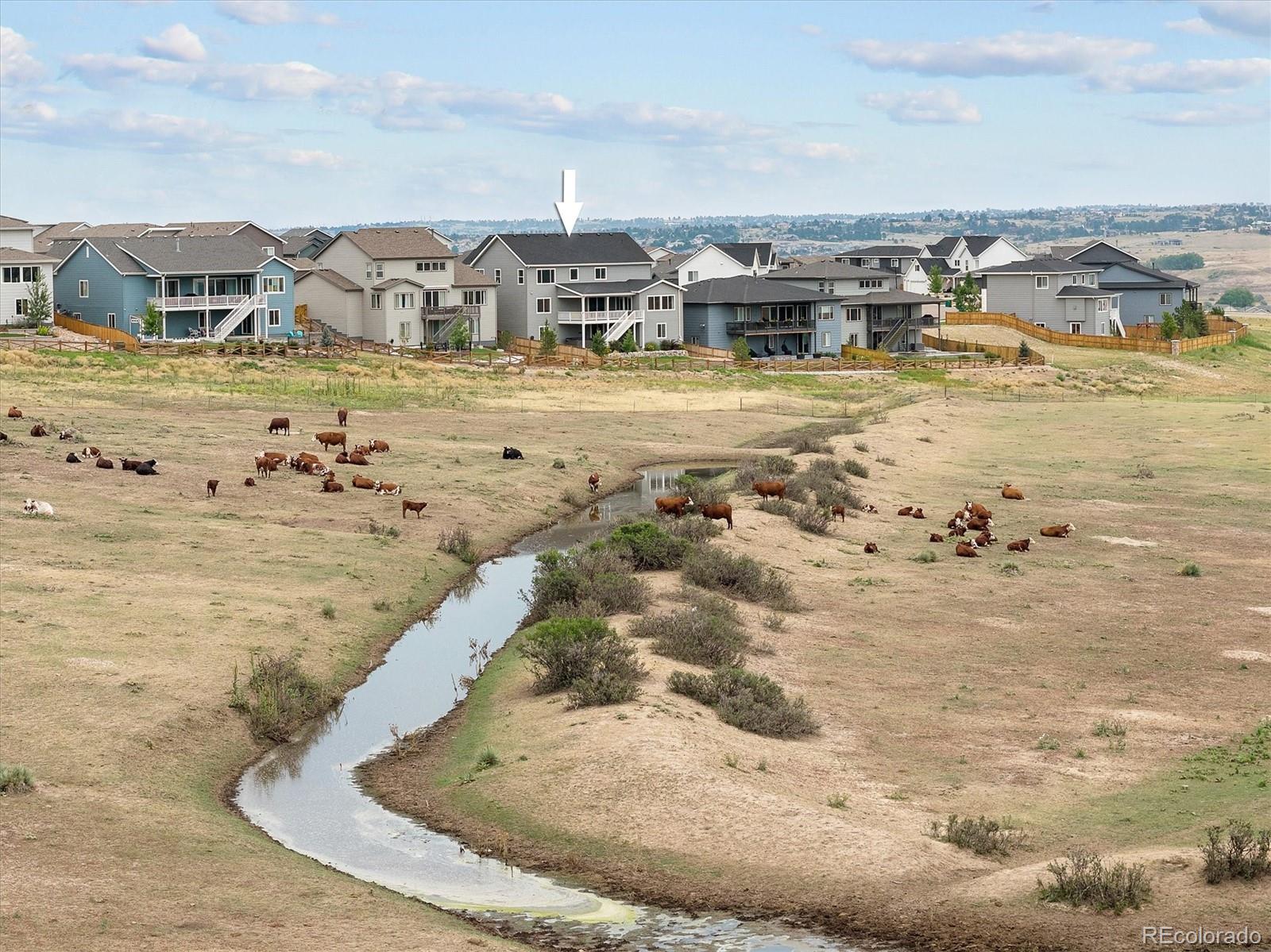 MLS Image #35 for 17520  rose mallow avenue,parker, Colorado
