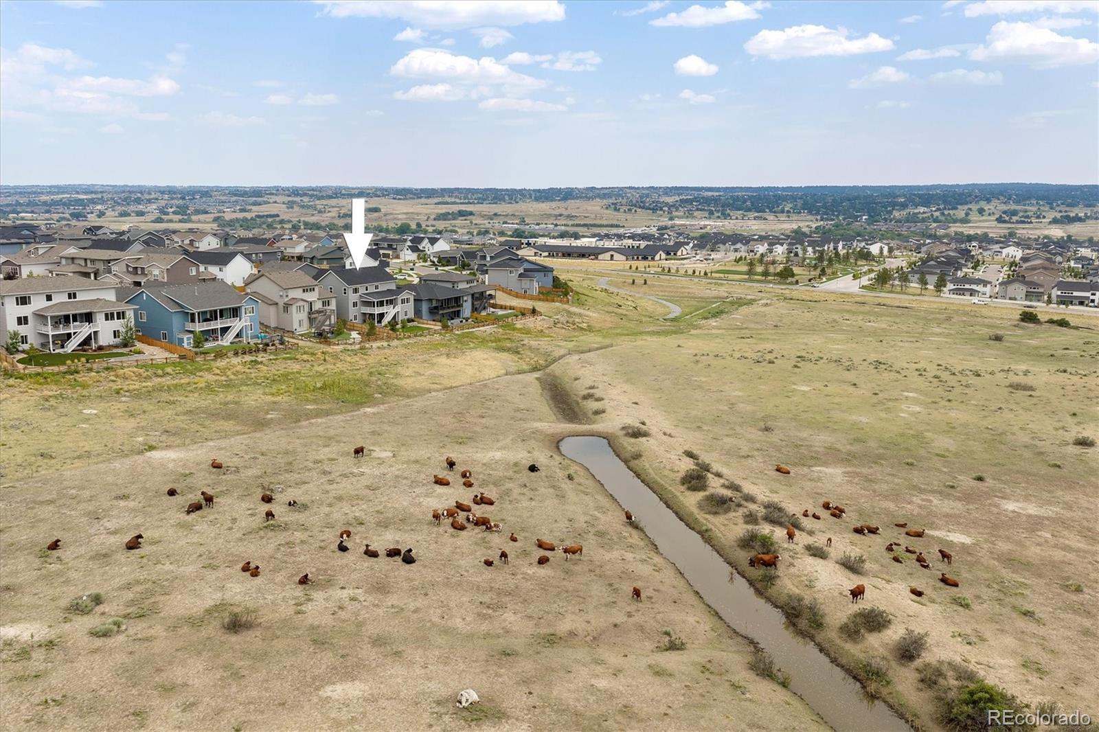 MLS Image #36 for 17520  rose mallow avenue,parker, Colorado
