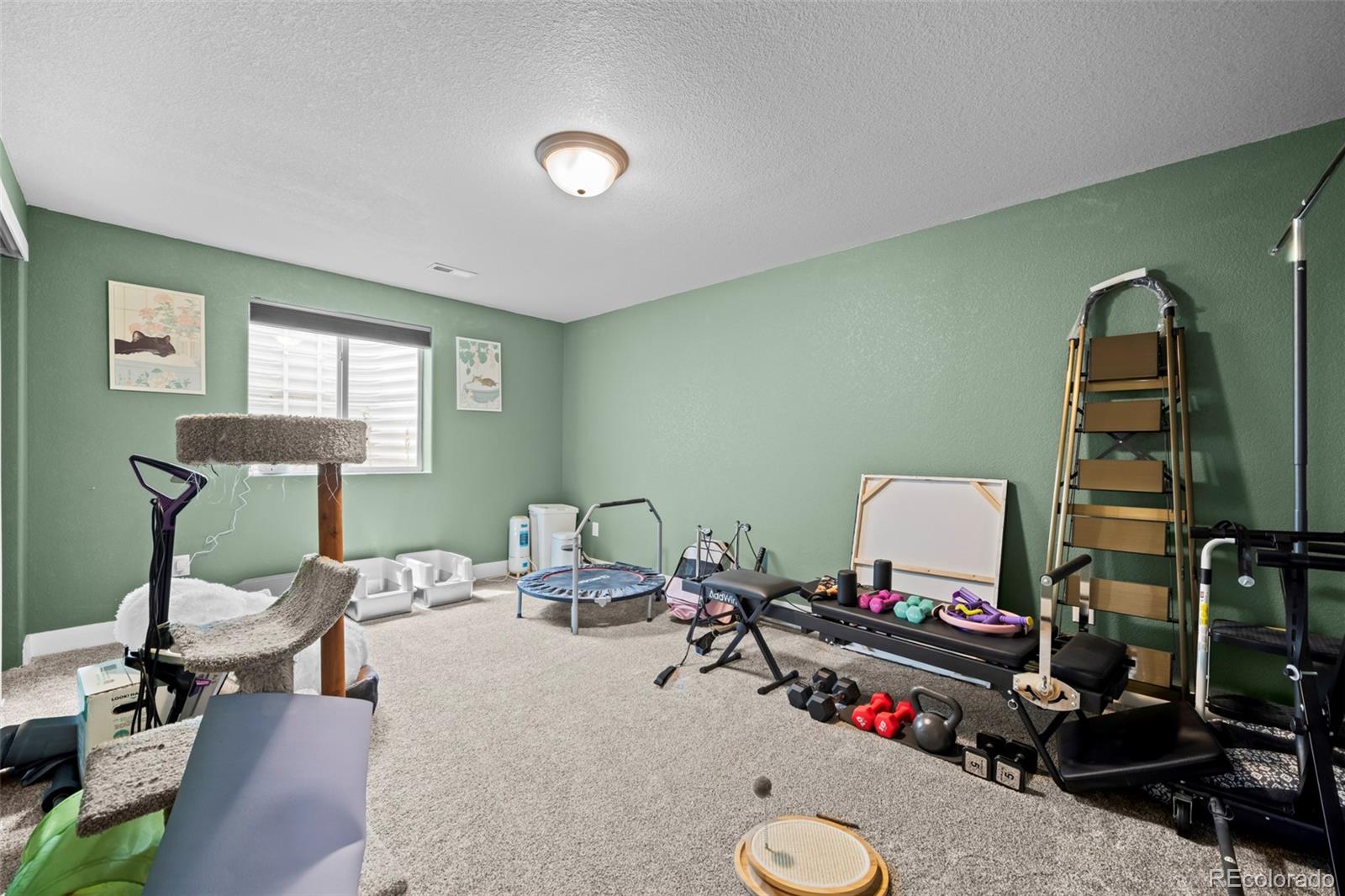 MLS Image #34 for 5545  drake way,longmont, Colorado