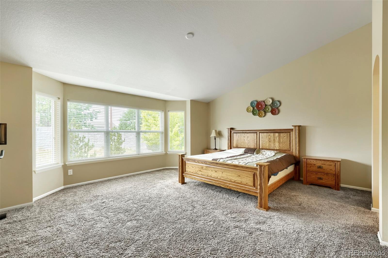 MLS Image #14 for 12257  pine post drive,parker, Colorado