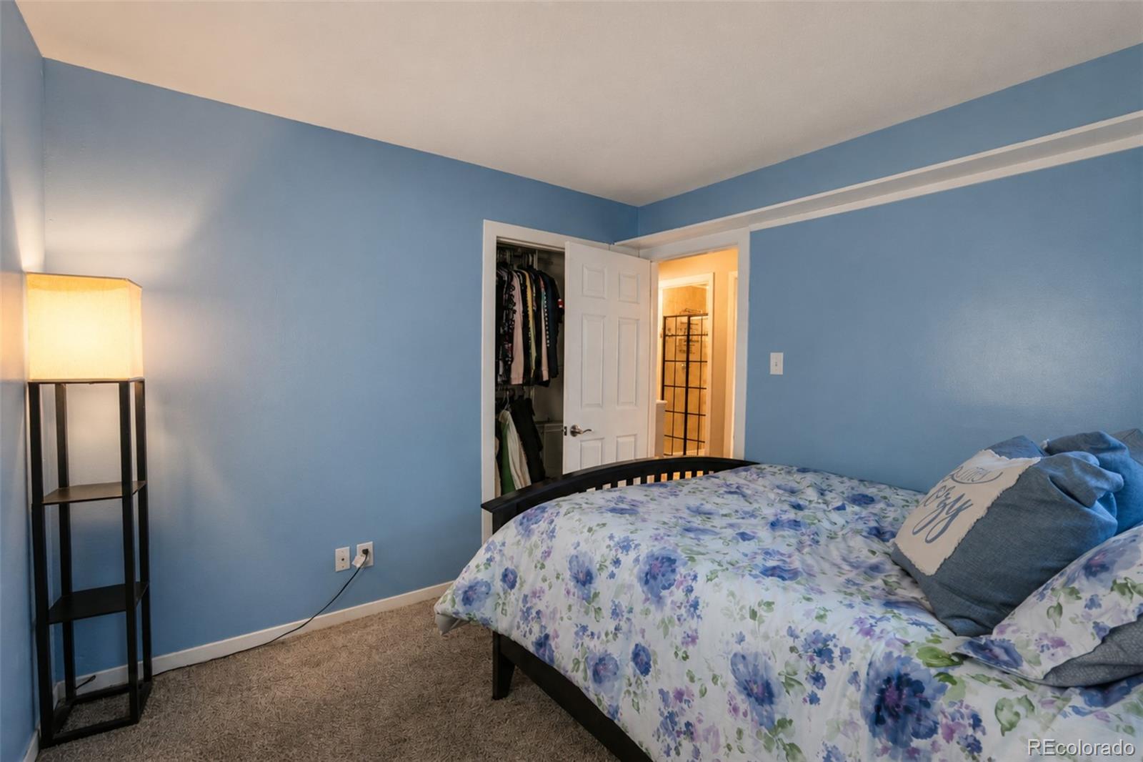 MLS Image #14 for 6696  newcombe street,arvada, Colorado
