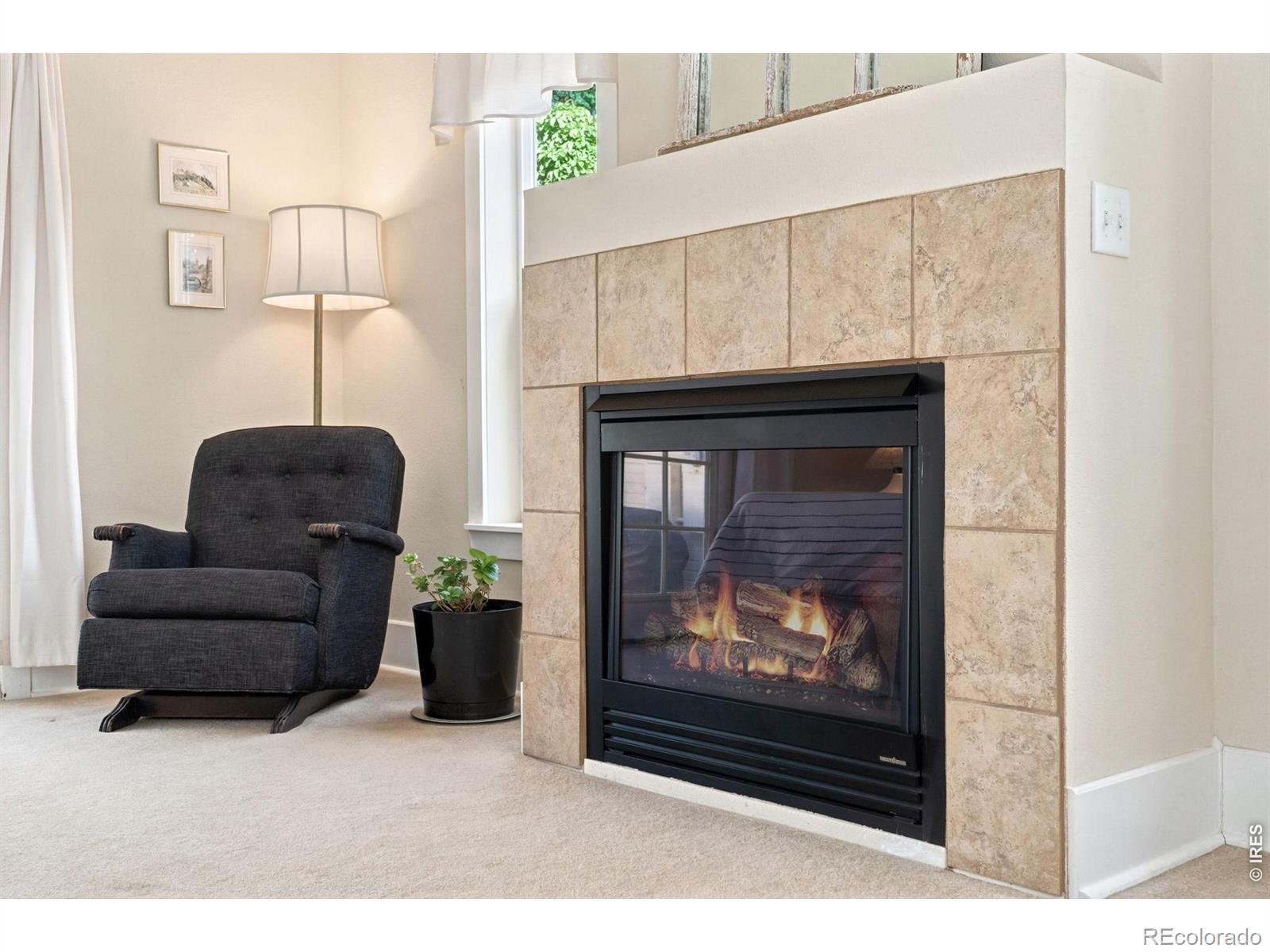 MLS Image #19 for 301 n whitcomb street,fort collins, Colorado