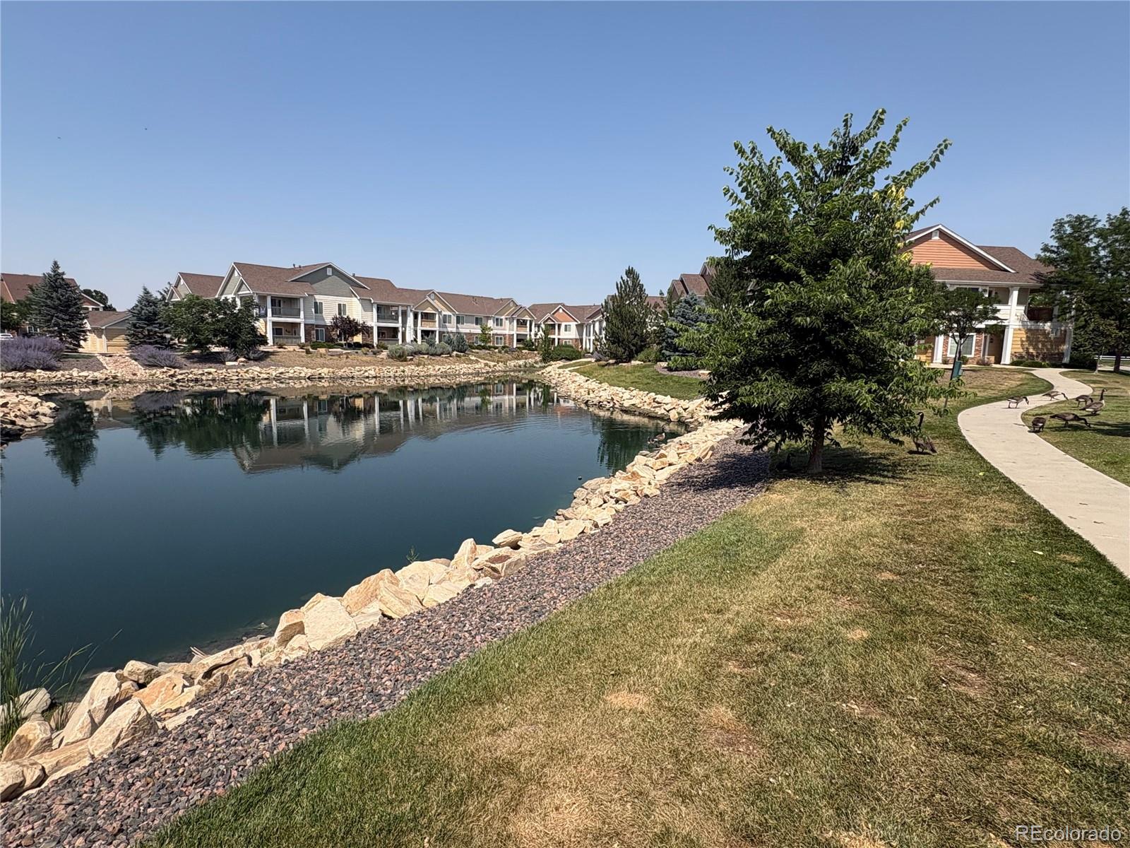 MLS Image #18 for 4645  hahns peak drive,loveland, Colorado