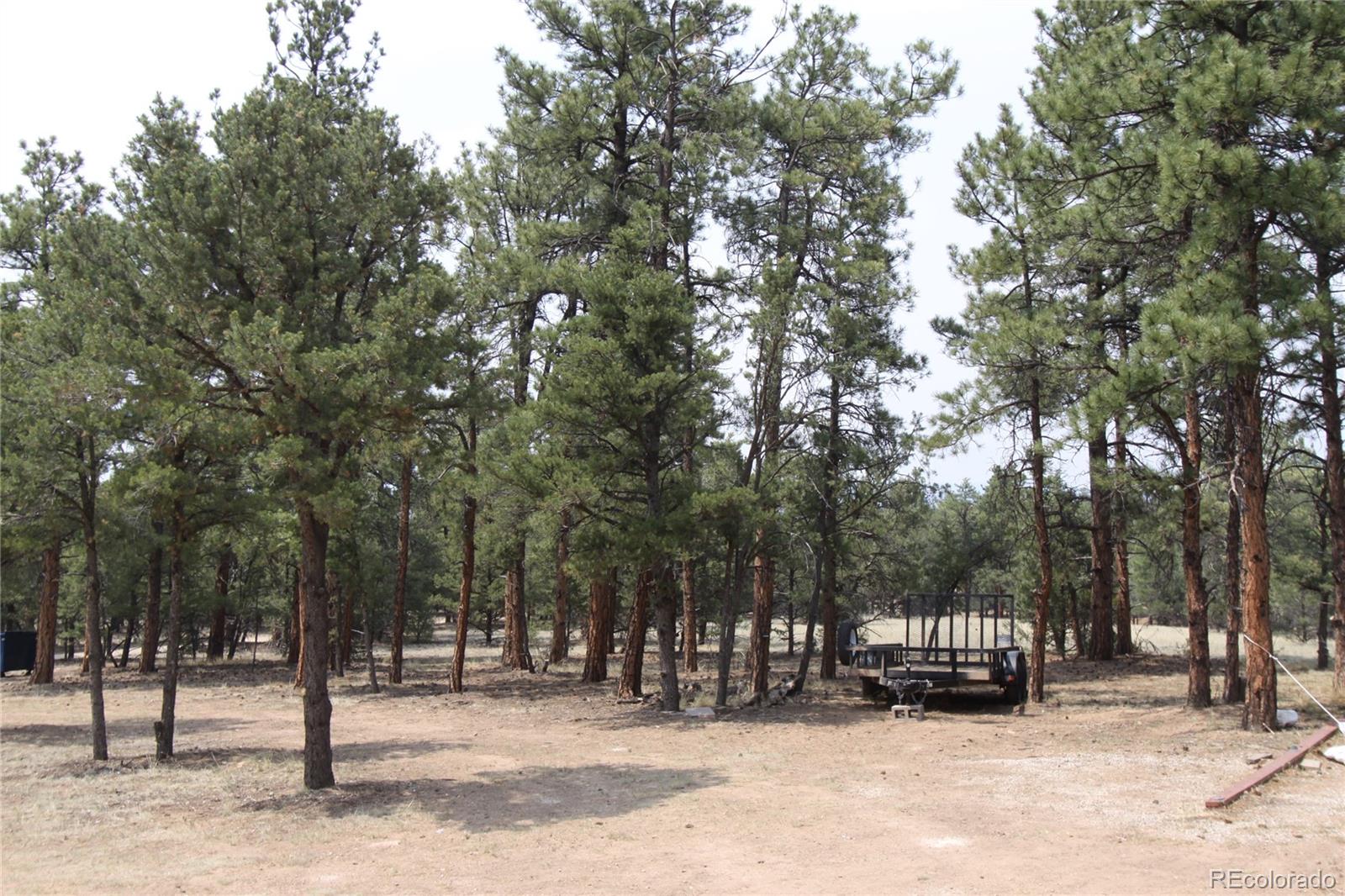 MLS Image #27 for 938  18th trail,cotopaxi, Colorado
