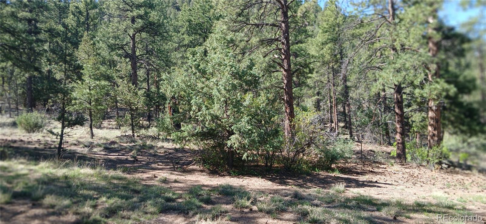 MLS Image #32 for 938  18th trail,cotopaxi, Colorado