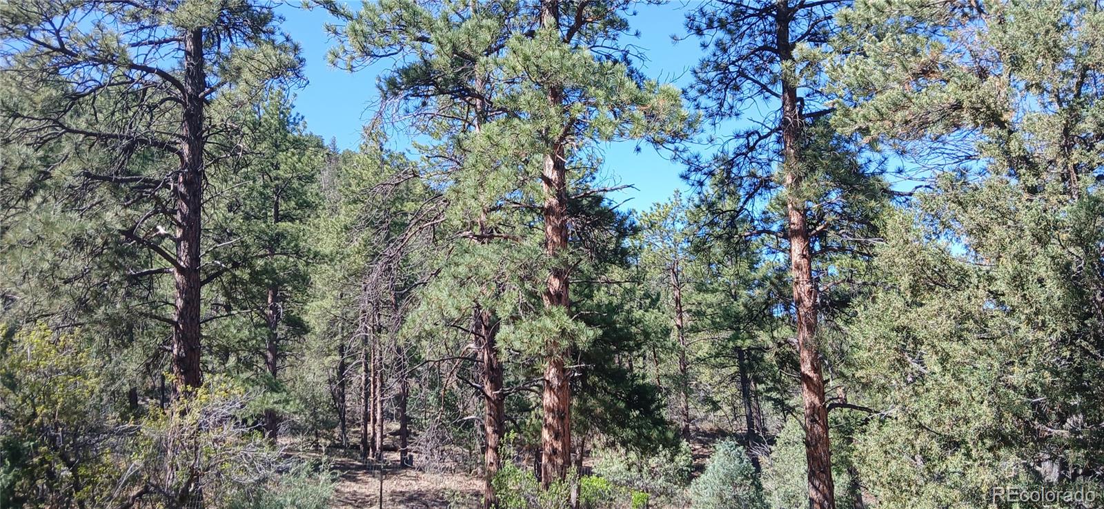 MLS Image #33 for 938  18th trail,cotopaxi, Colorado