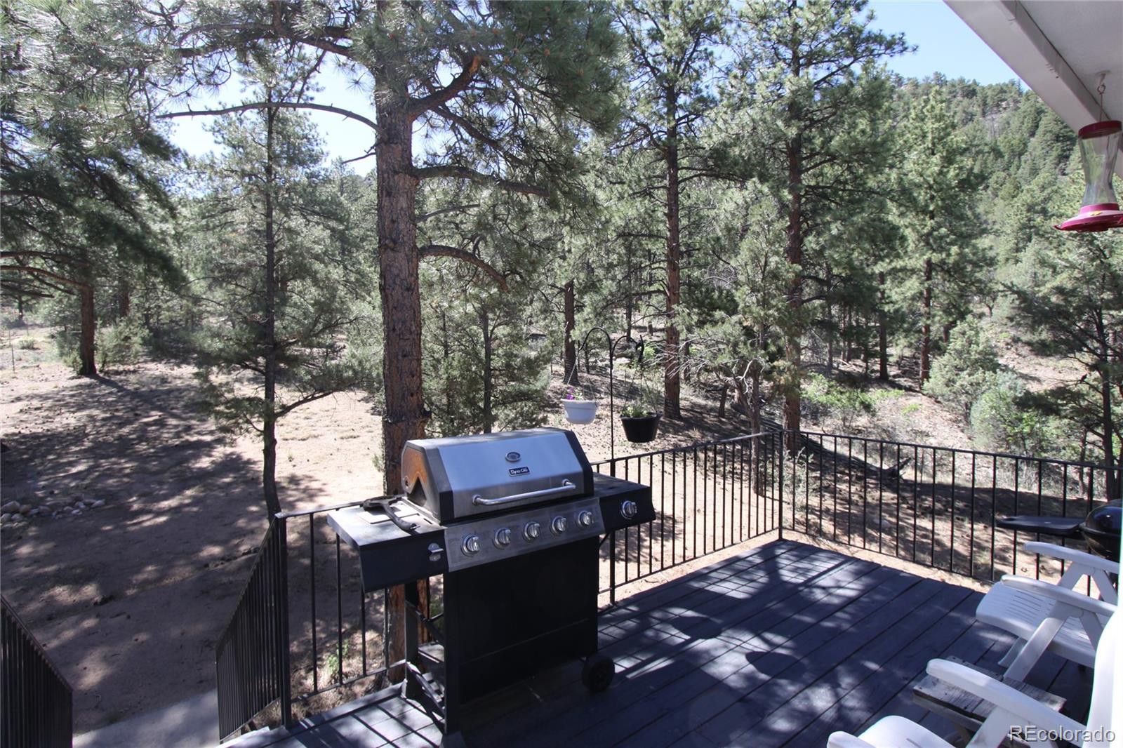 MLS Image #4 for 938  18th trail,cotopaxi, Colorado