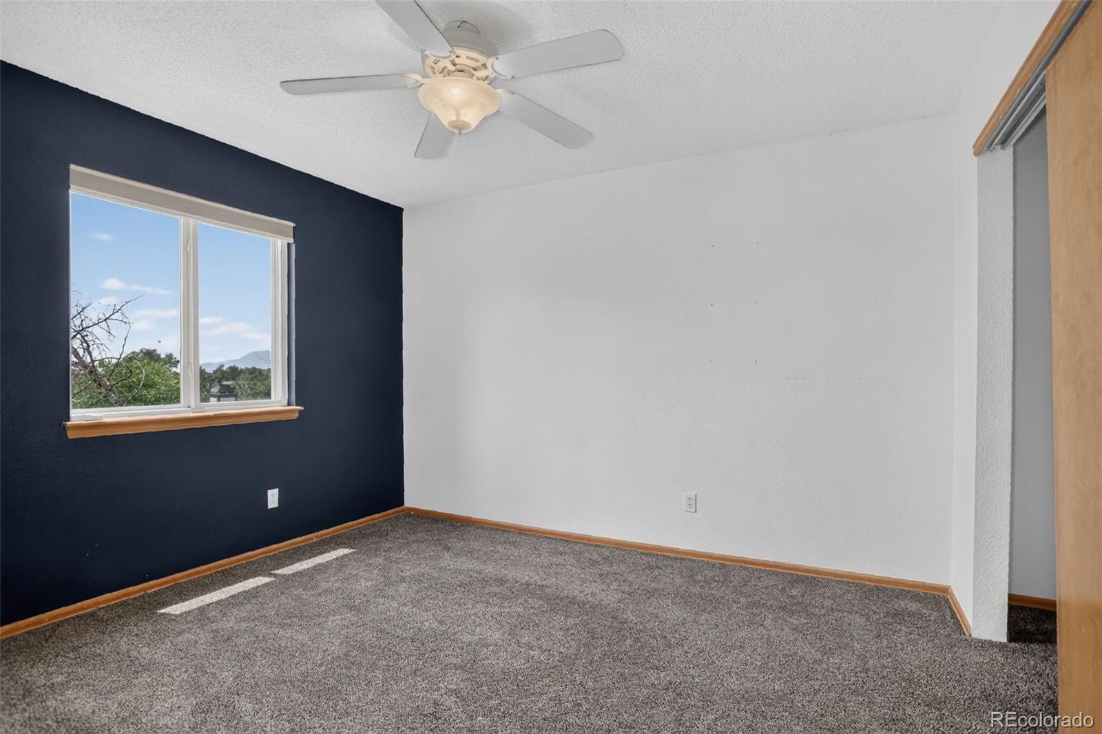 MLS Image #30 for 6145  faxon court,colorado springs, Colorado