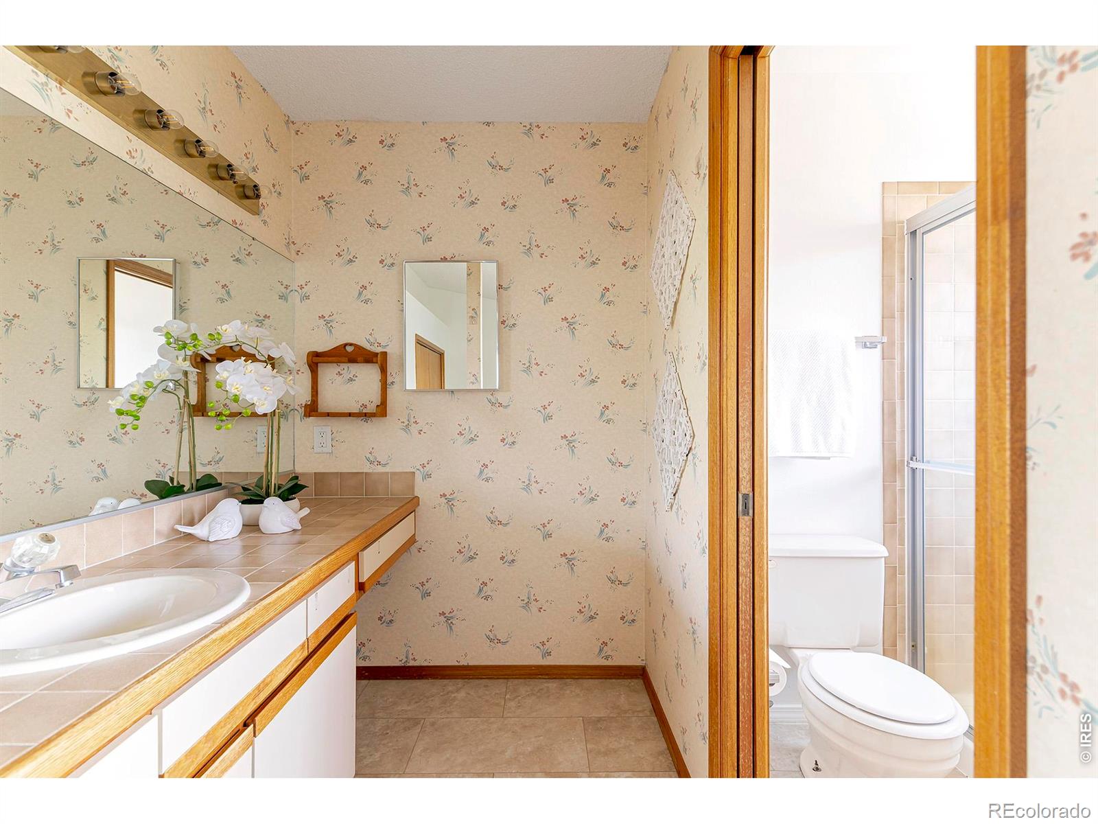 MLS Image #24 for 1901  red cloud road,longmont, Colorado