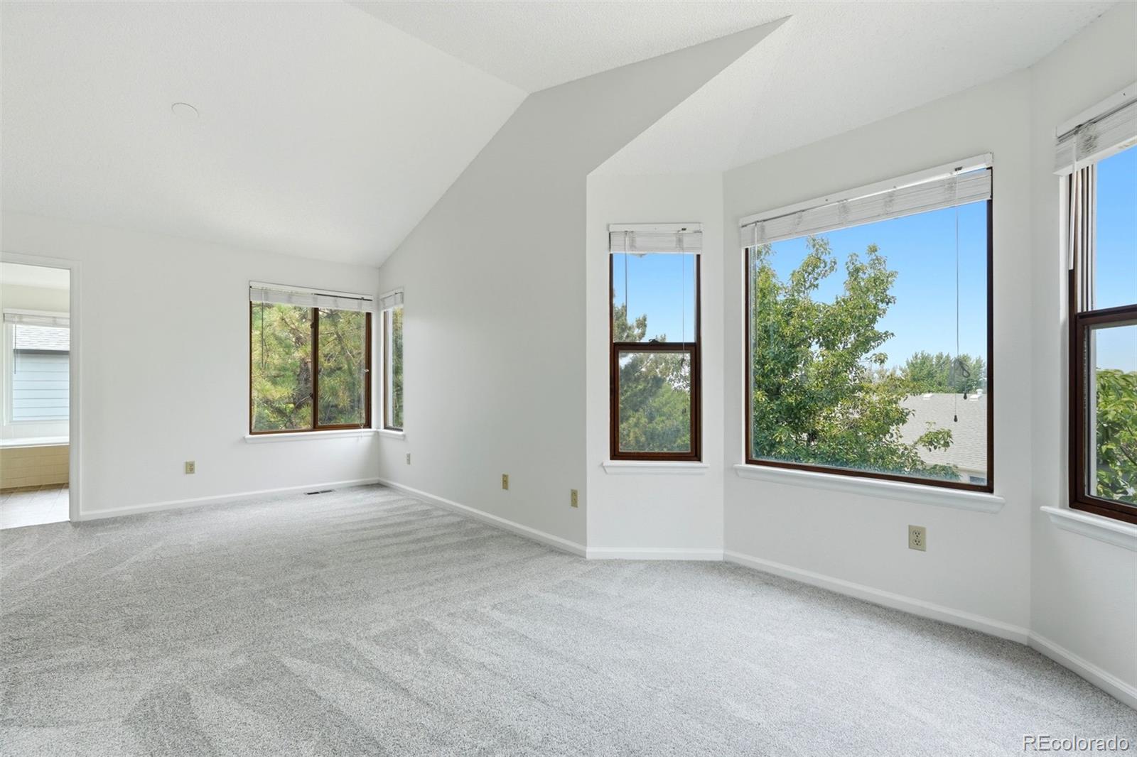 MLS Image #11 for 5431 s cathay way,aurora, Colorado