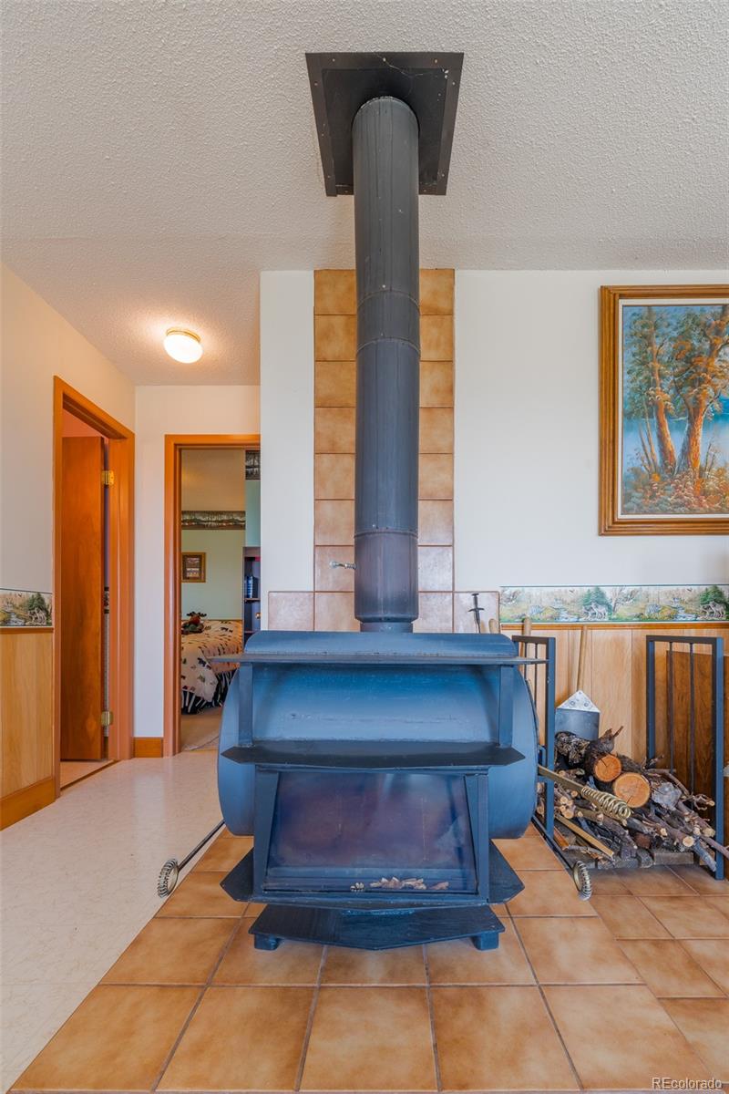 MLS Image #10 for 234  deadman gulch lane,jefferson, Colorado