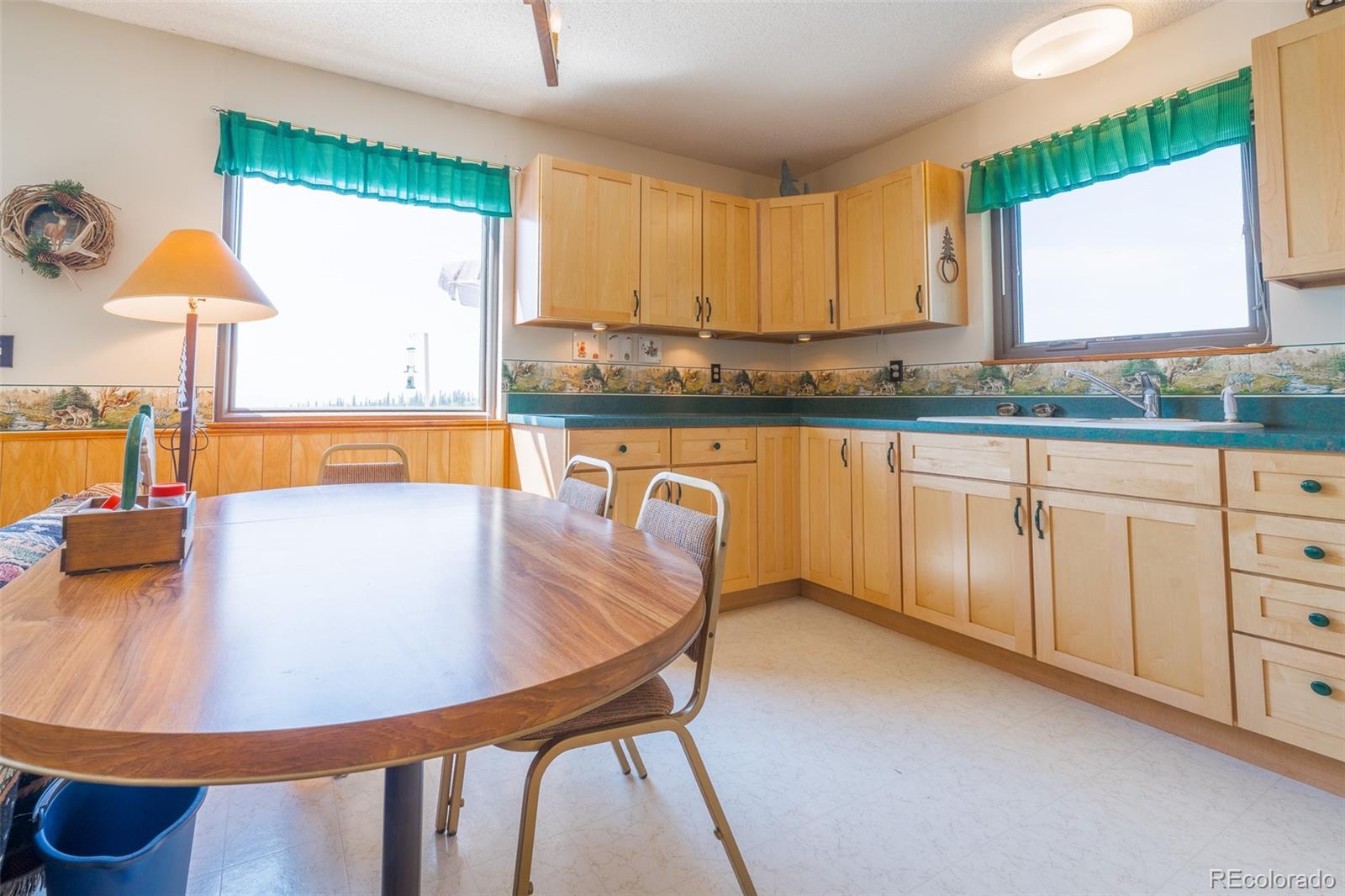MLS Image #11 for 234  deadman gulch lane,jefferson, Colorado