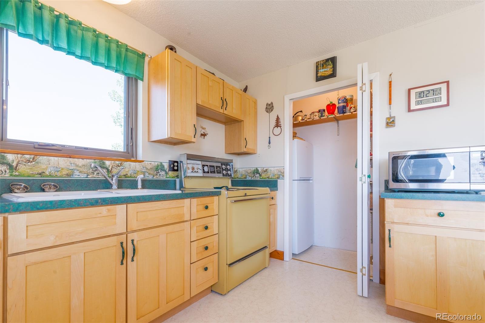 MLS Image #13 for 234  deadman gulch lane,jefferson, Colorado