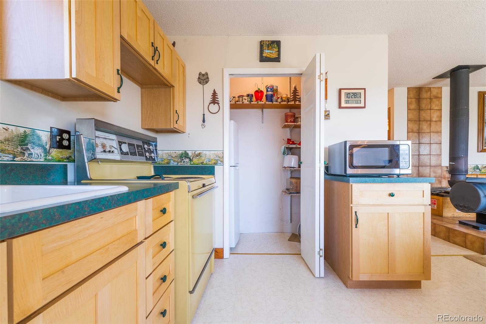 MLS Image #14 for 234  deadman gulch lane,jefferson, Colorado