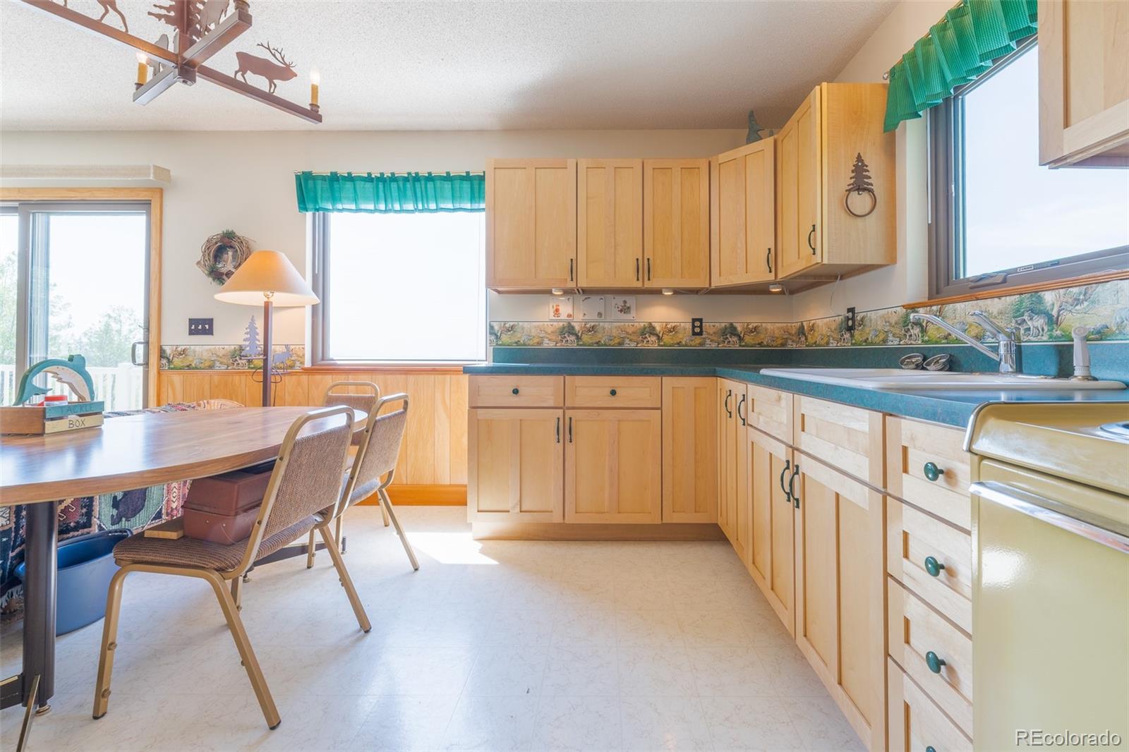 MLS Image #15 for 234  deadman gulch lane,jefferson, Colorado