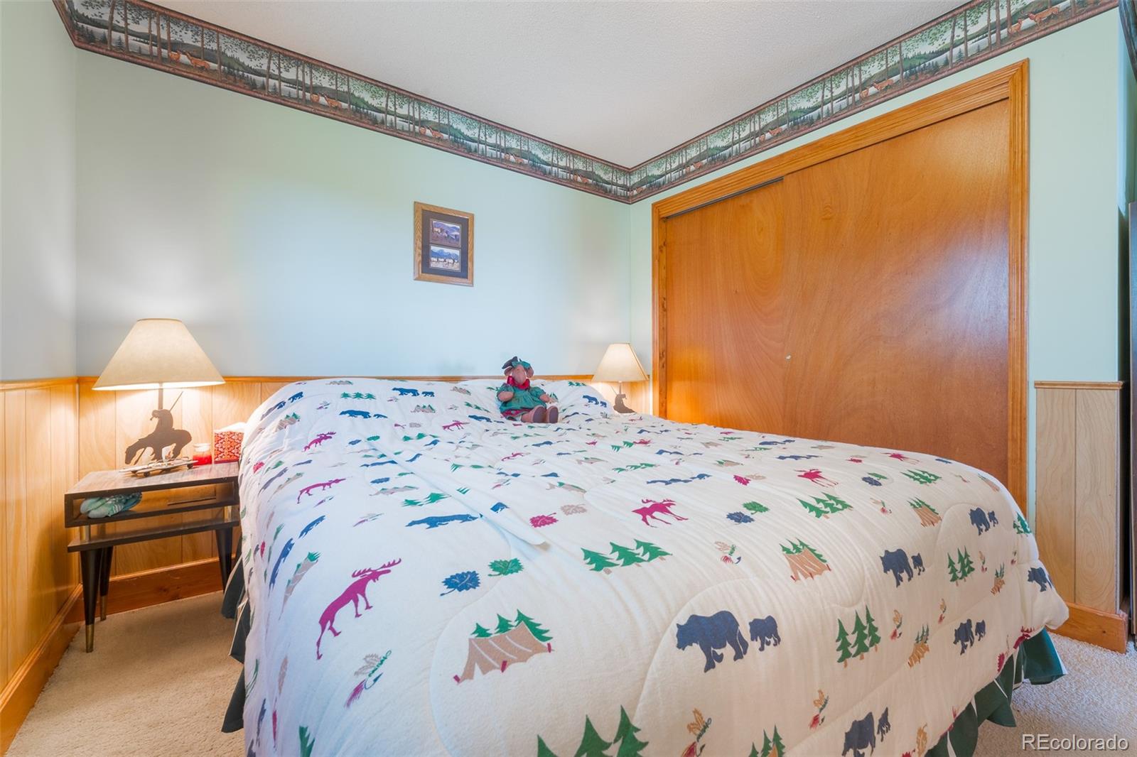 MLS Image #20 for 234  deadman gulch lane,jefferson, Colorado