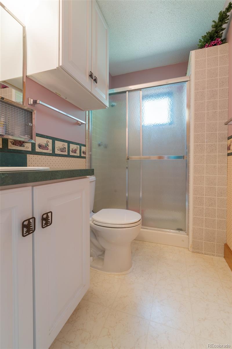 MLS Image #21 for 234  deadman gulch lane,jefferson, Colorado