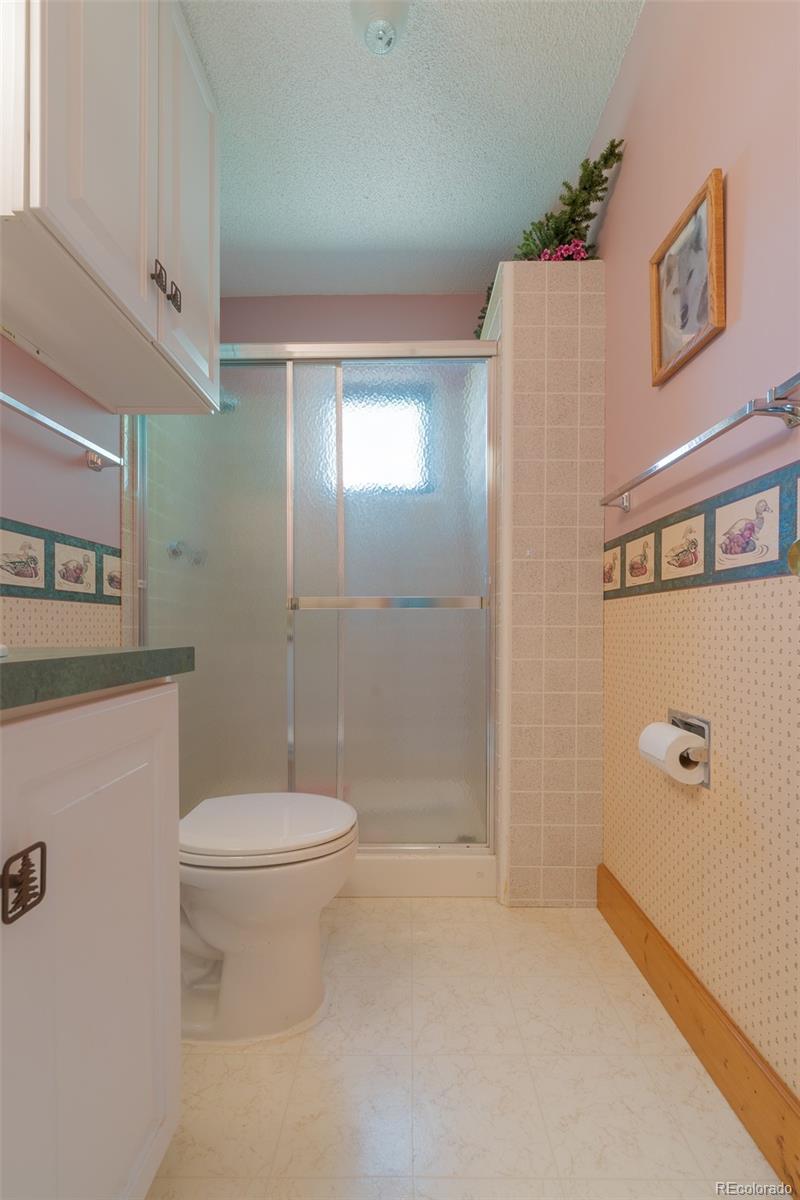 MLS Image #22 for 234  deadman gulch lane,jefferson, Colorado