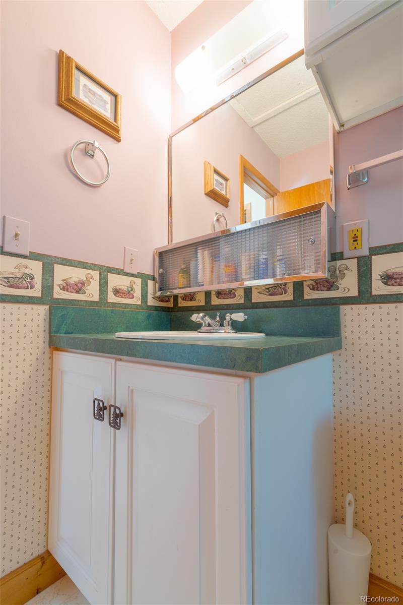 MLS Image #23 for 234  deadman gulch lane,jefferson, Colorado