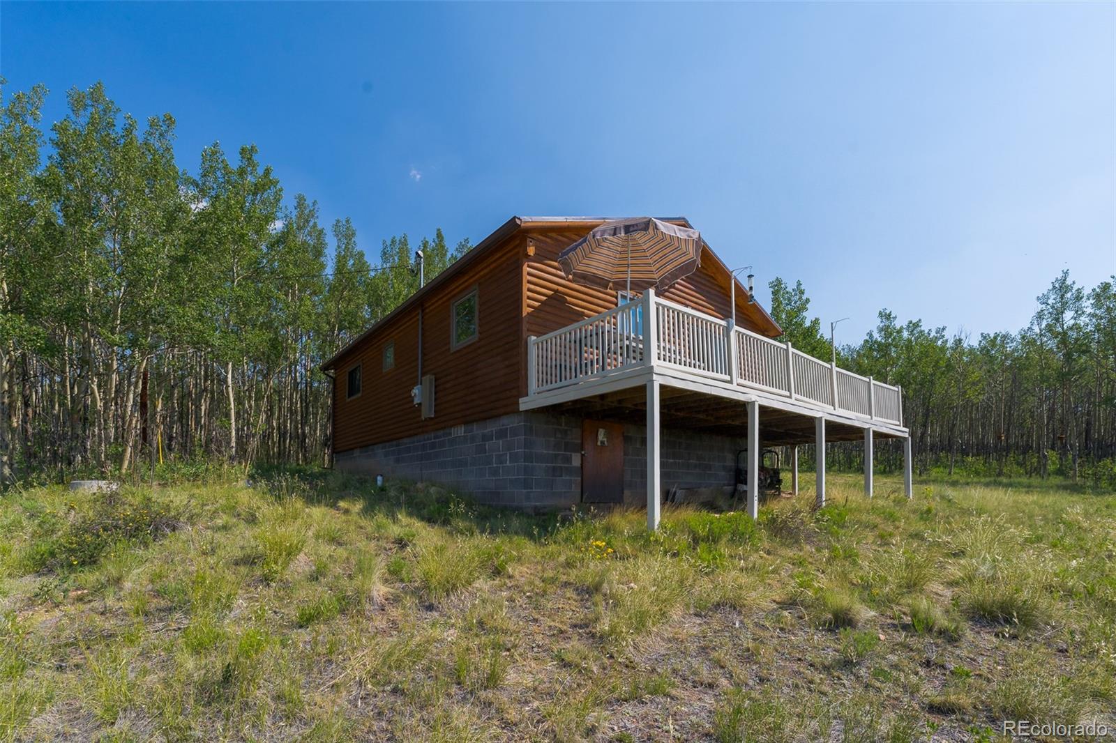 MLS Image #29 for 234  deadman gulch lane,jefferson, Colorado