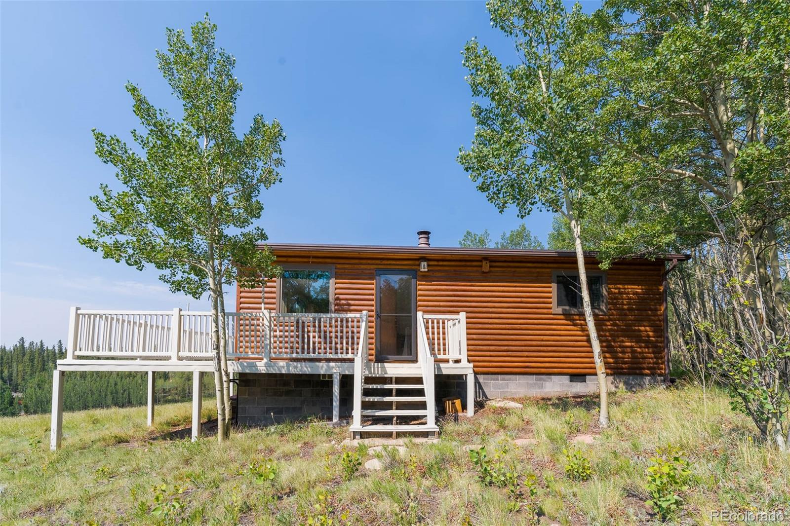 MLS Image #3 for 234  deadman gulch lane,jefferson, Colorado