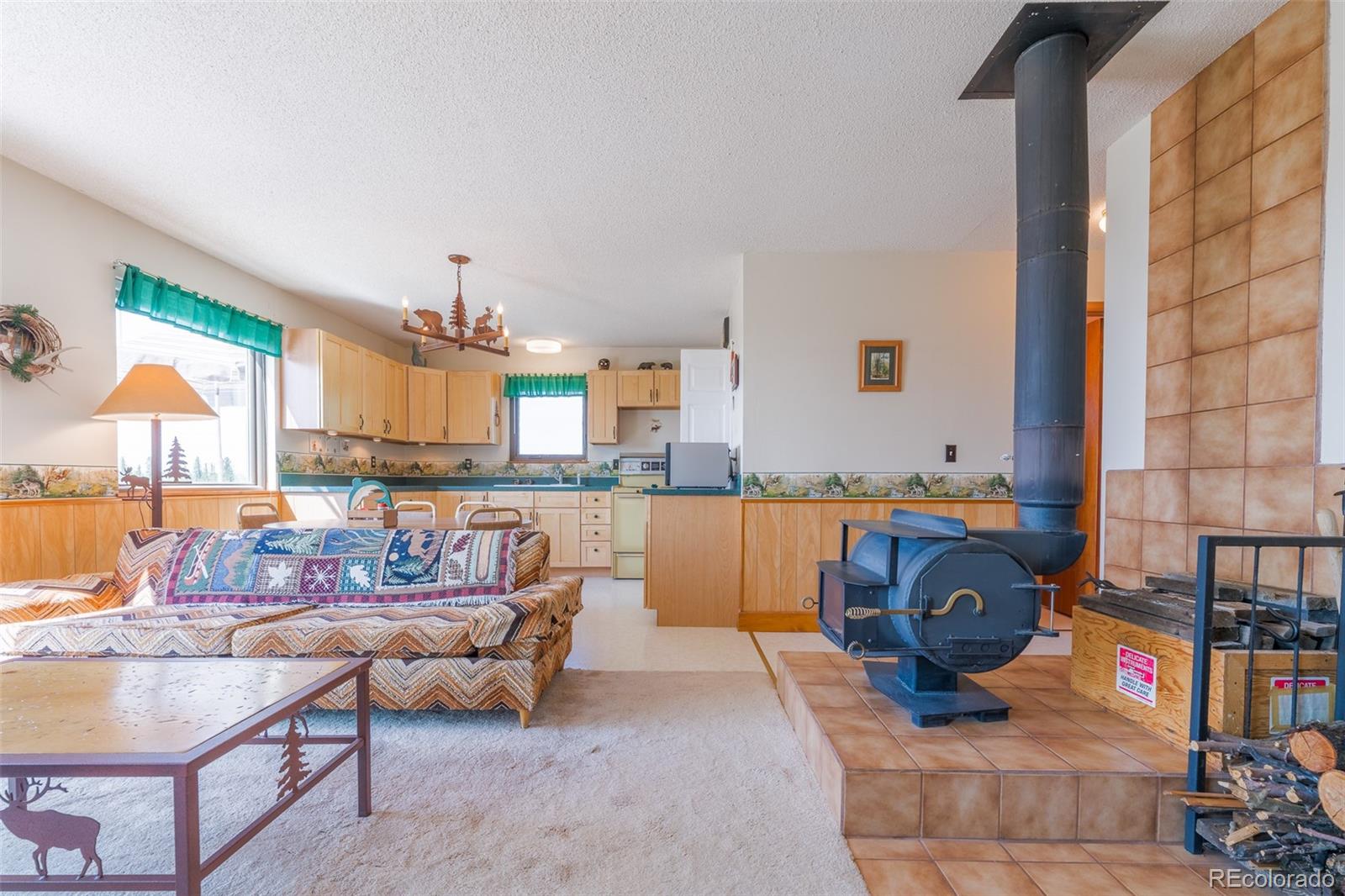 MLS Image #4 for 234  deadman gulch lane,jefferson, Colorado