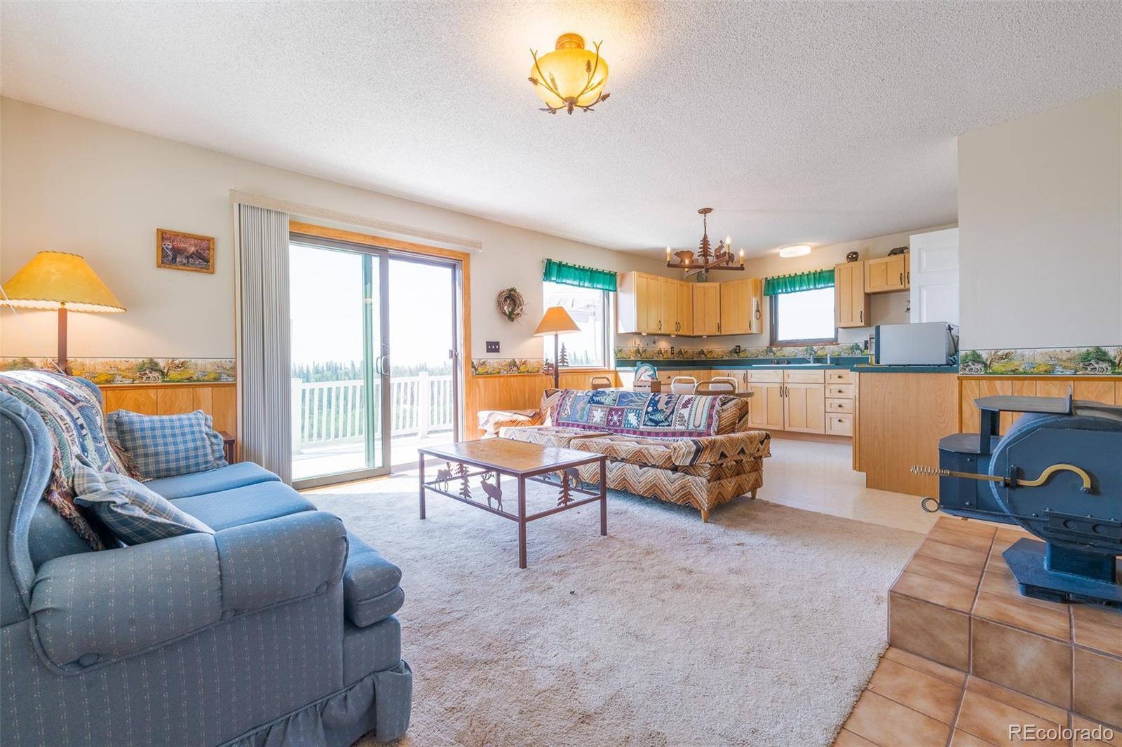 MLS Image #5 for 234  deadman gulch lane,jefferson, Colorado
