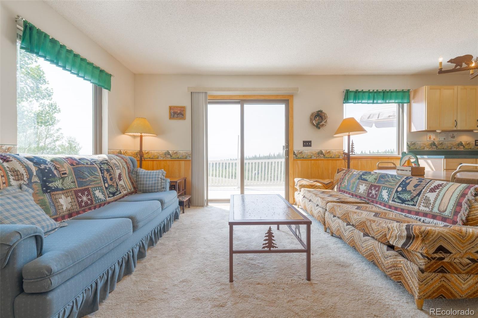 MLS Image #6 for 234  deadman gulch lane,jefferson, Colorado