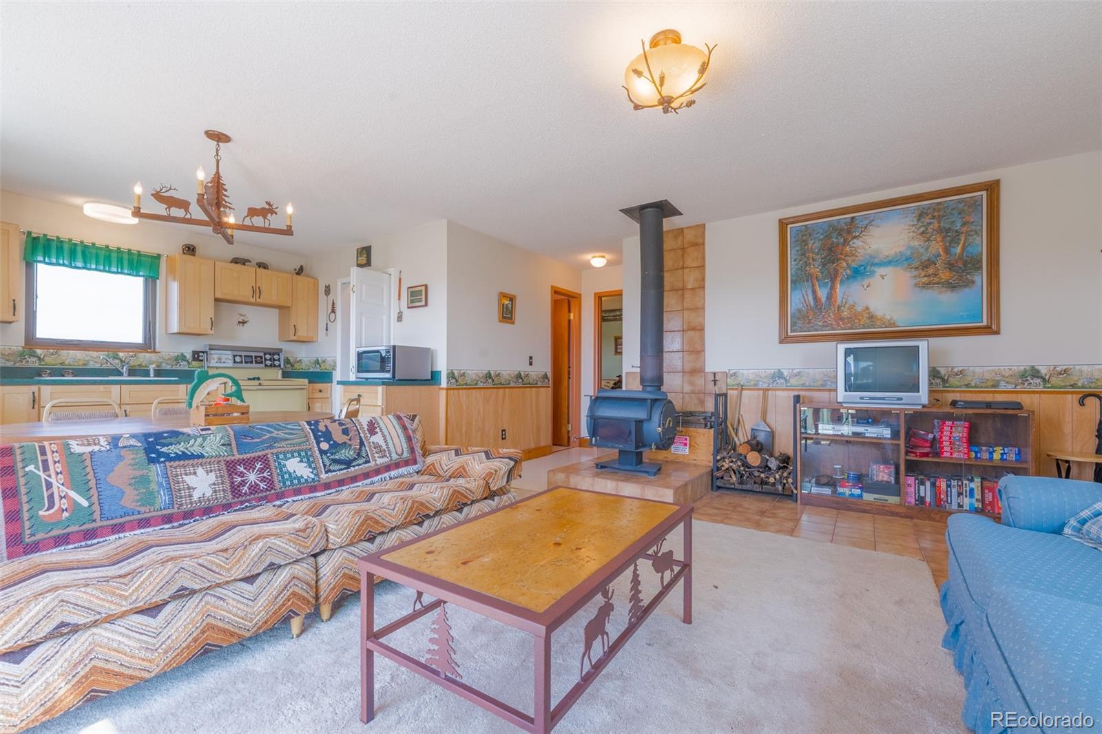 MLS Image #7 for 234  deadman gulch lane,jefferson, Colorado