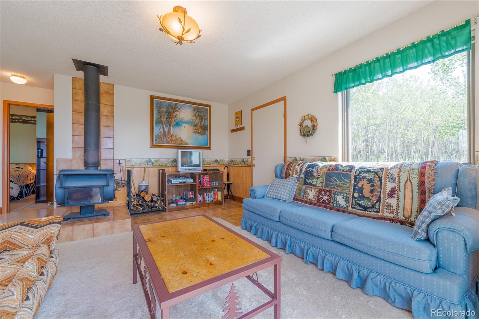 MLS Image #8 for 234  deadman gulch lane,jefferson, Colorado