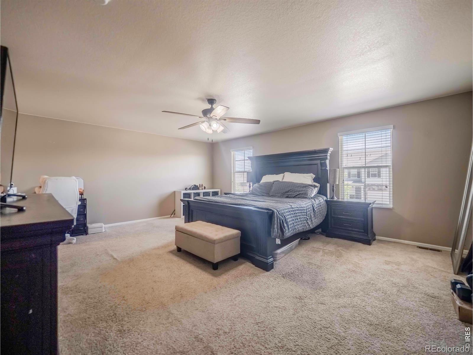 MLS Image #21 for 914  charlton drive,windsor, Colorado