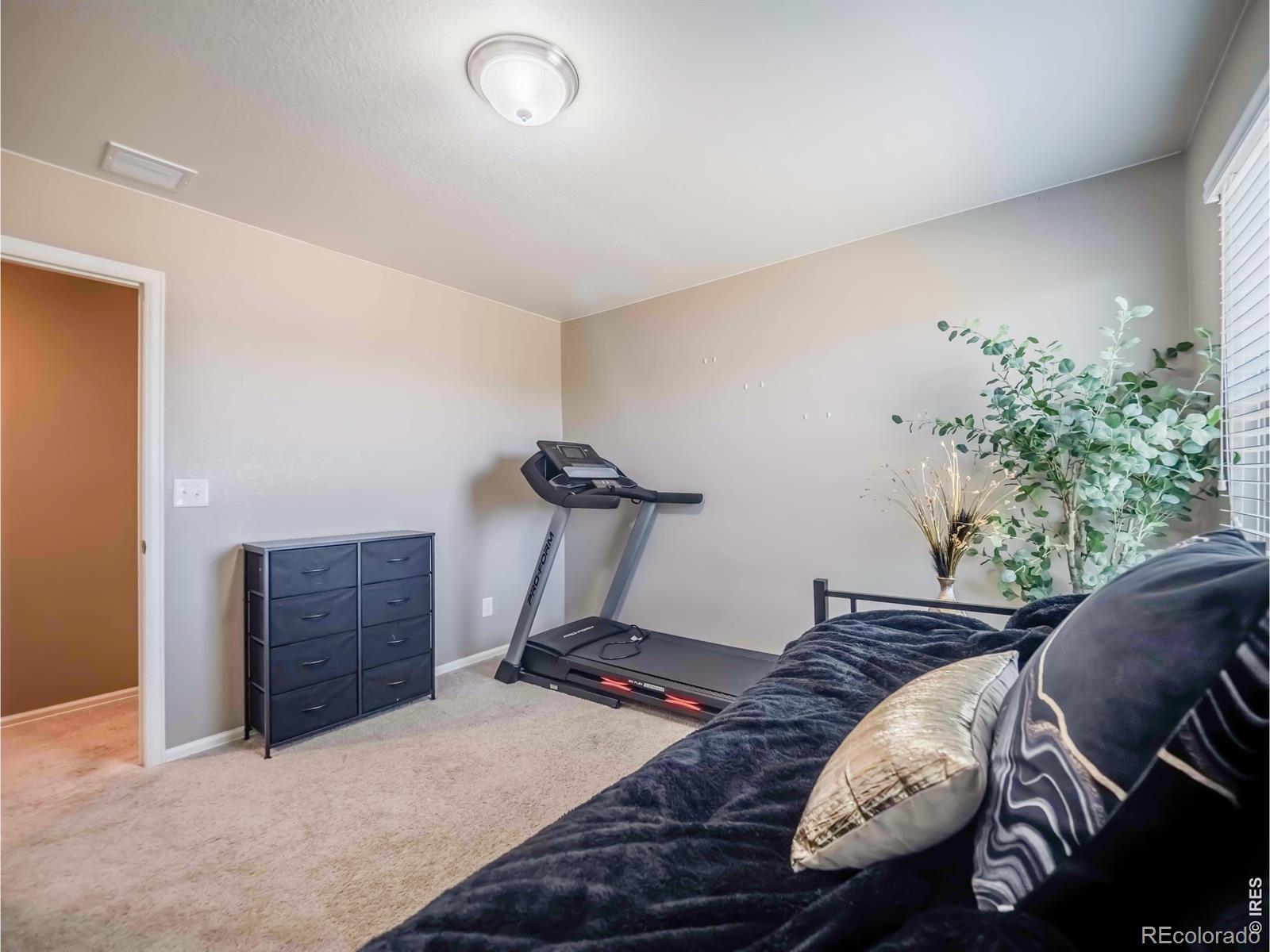 MLS Image #33 for 914  charlton drive,windsor, Colorado