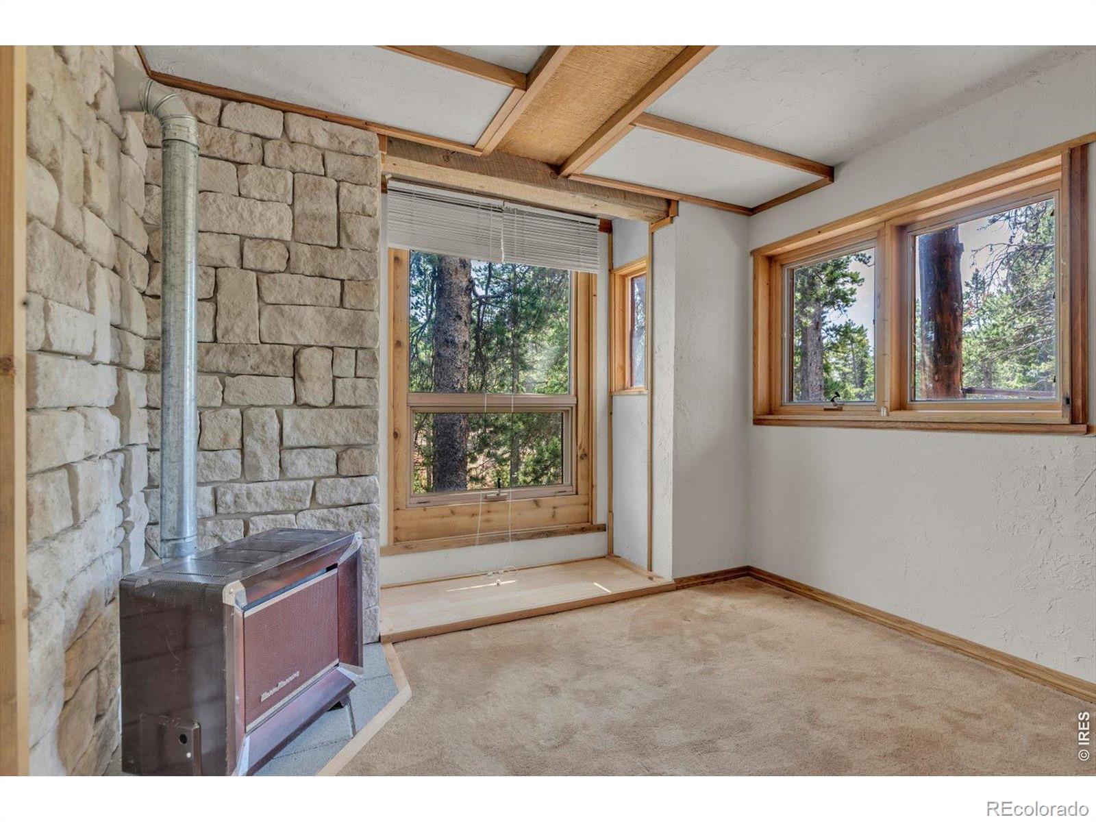 MLS Image #26 for 909  county road 120j ,nederland, Colorado