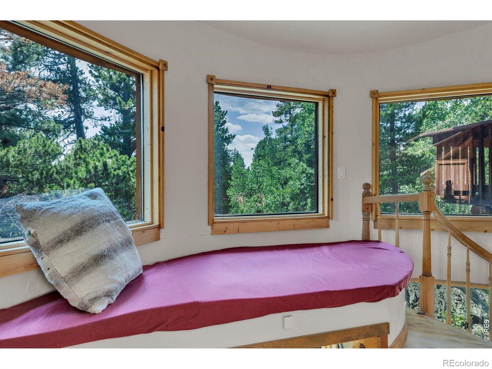 MLS Image #27 for 909  county road 120j ,nederland, Colorado