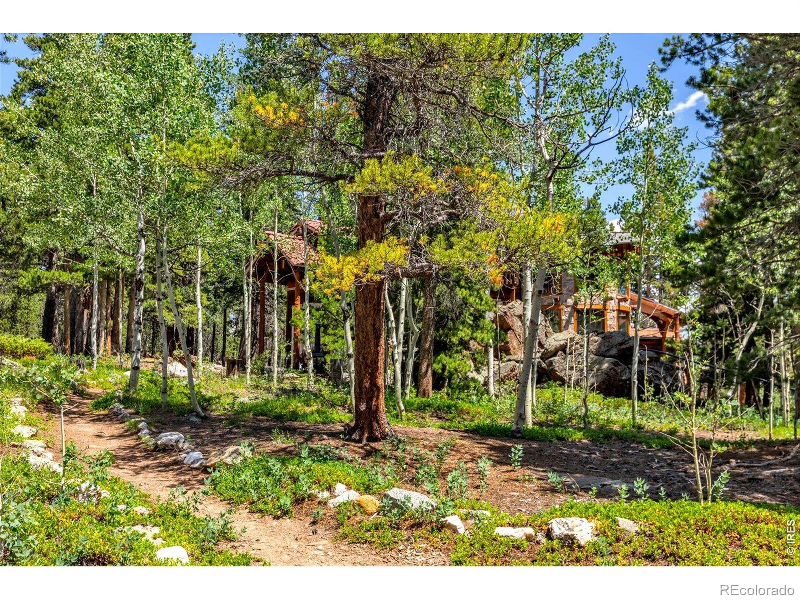 MLS Image #35 for 909  county road 120j ,nederland, Colorado