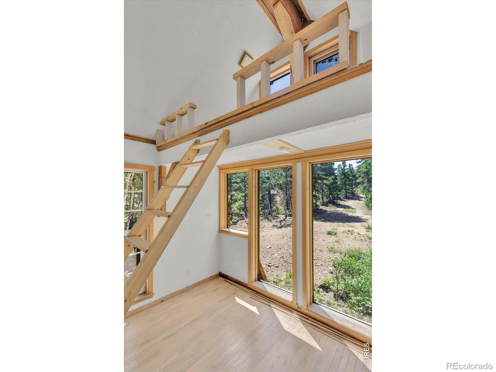 MLS Image #42 for 909  county road 120j ,nederland, Colorado
