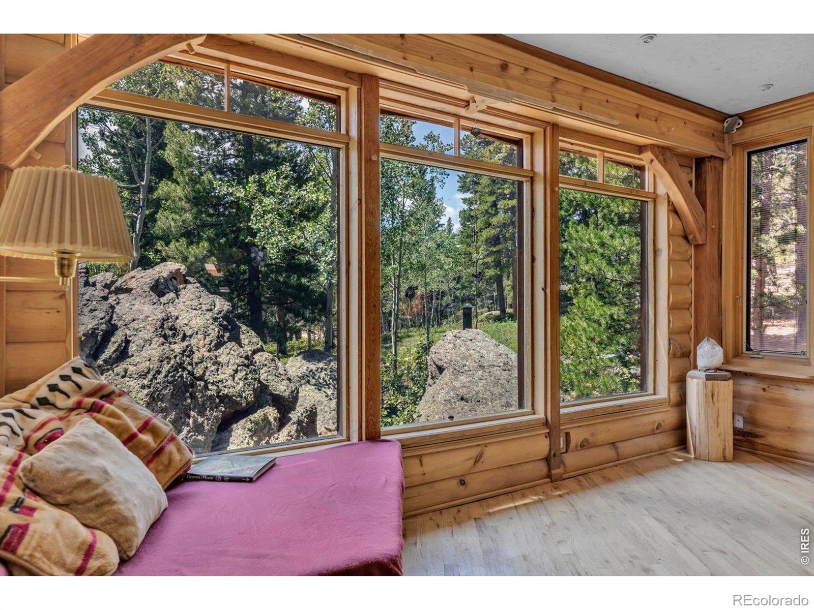 MLS Image #6 for 909  county road 120j ,nederland, Colorado