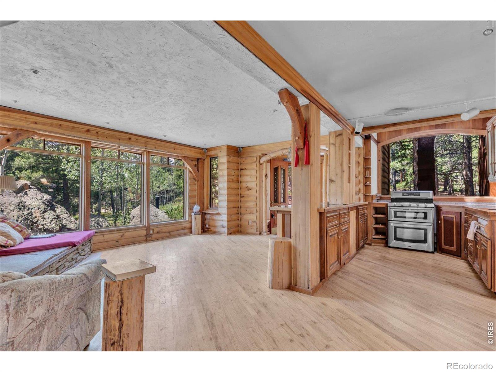 MLS Image #8 for 909  county road 120j ,nederland, Colorado