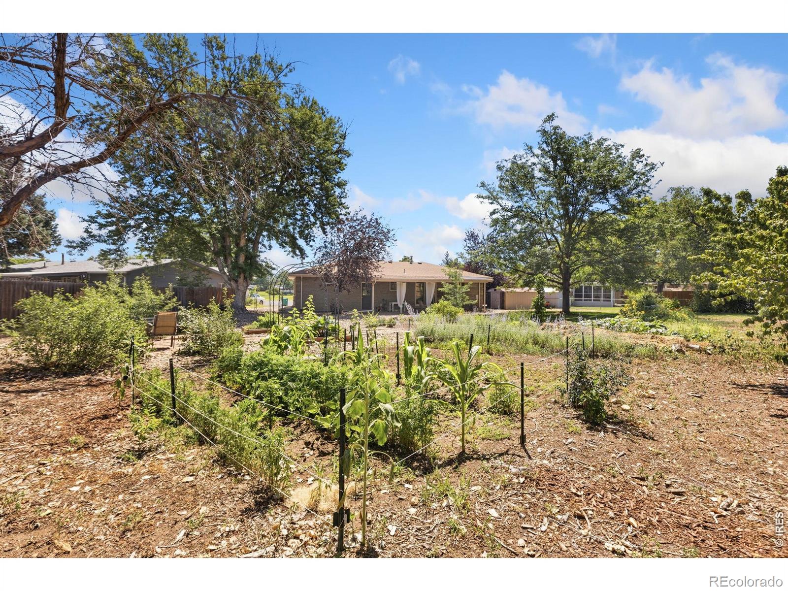 MLS Image #17 for 515  31st avenue,greeley, Colorado