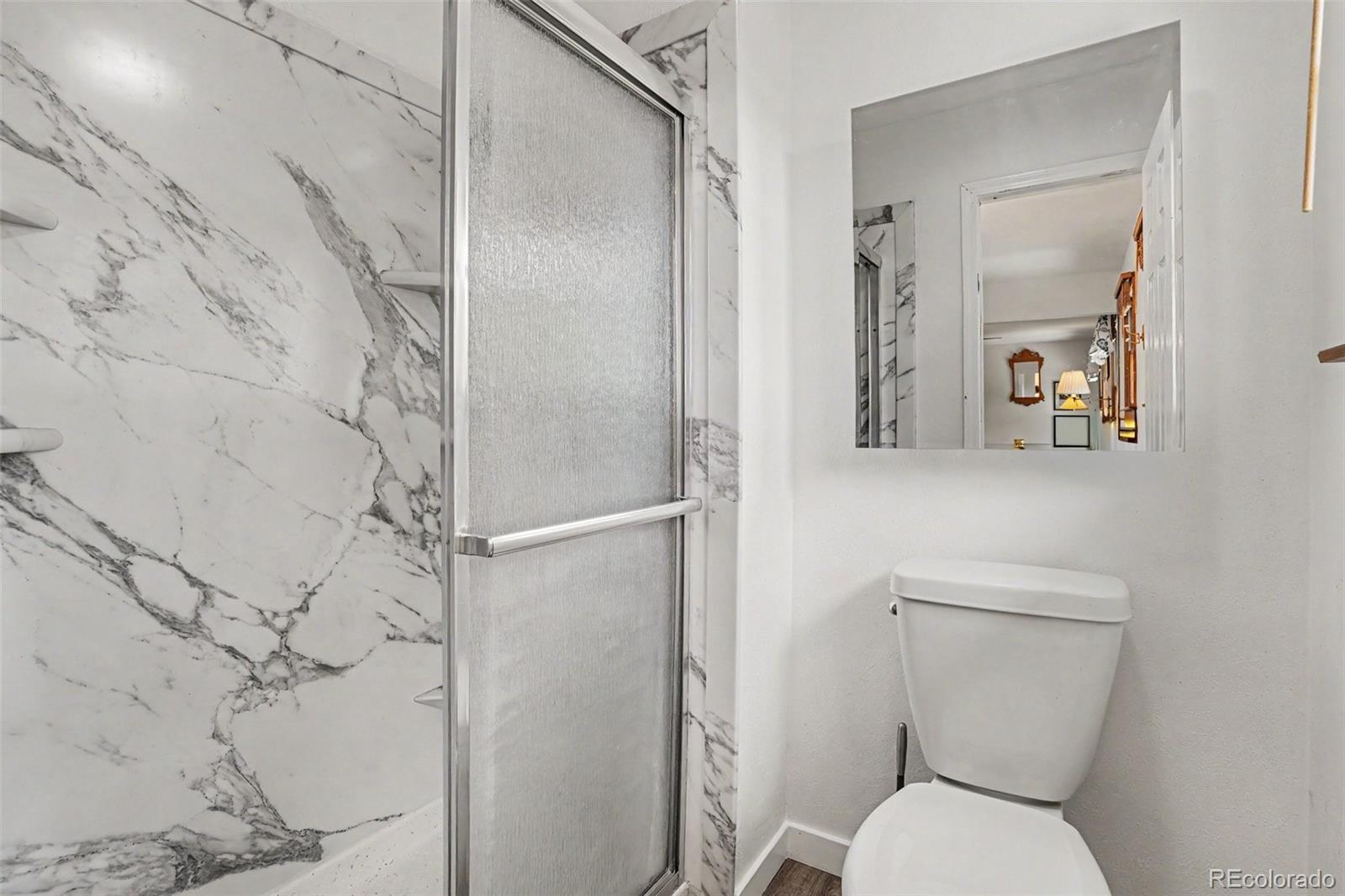 MLS Image #17 for 8031 s cook way,centennial, Colorado