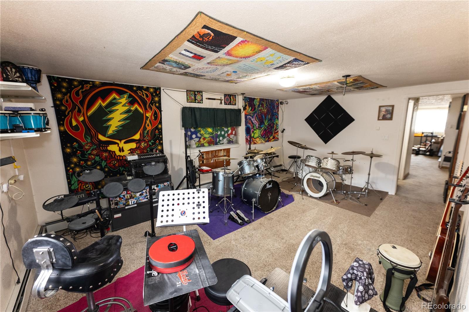 MLS Image #13 for 20  mount blanca court,monte vista, Colorado