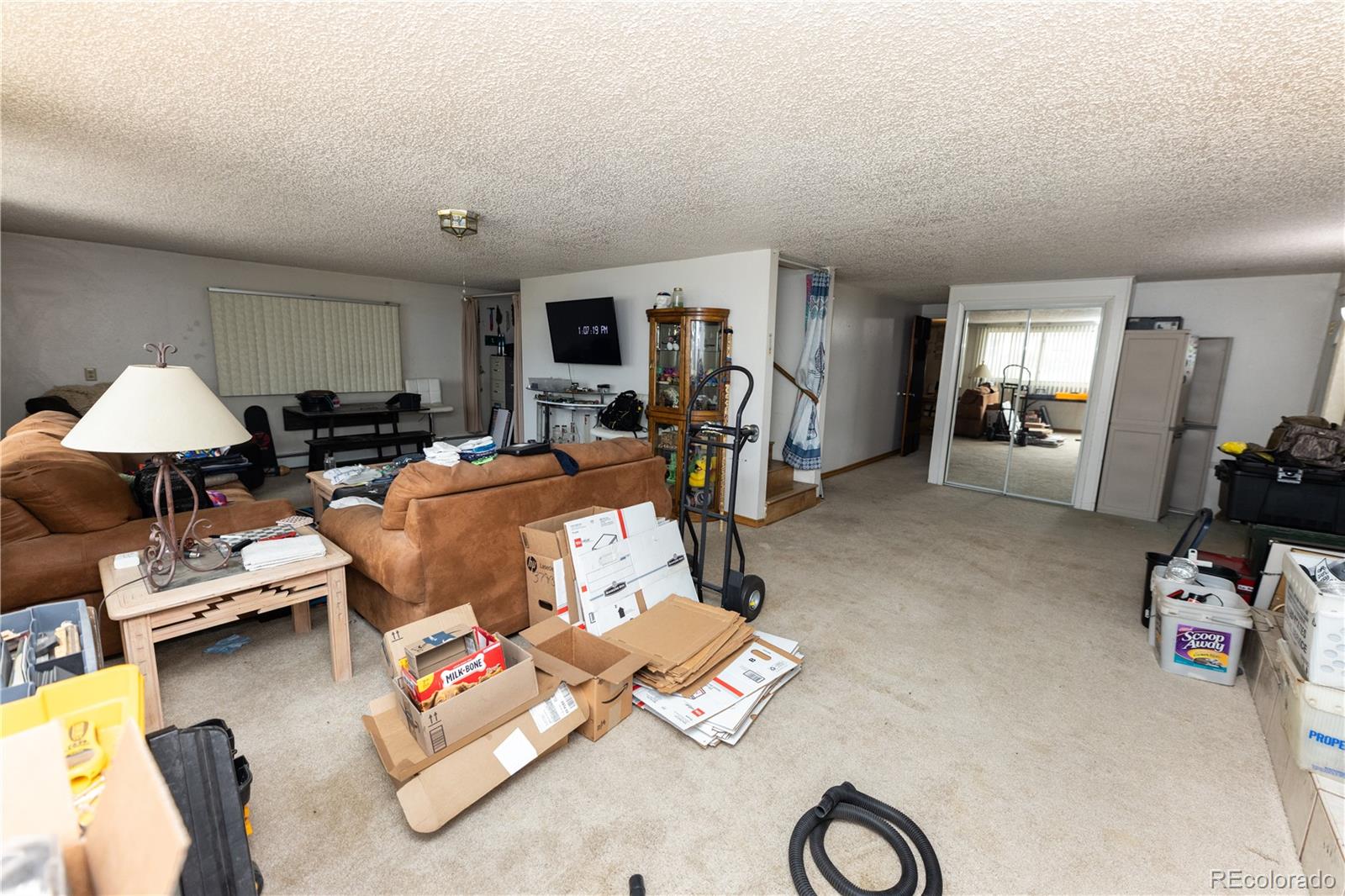 MLS Image #17 for 20  mount blanca court,monte vista, Colorado