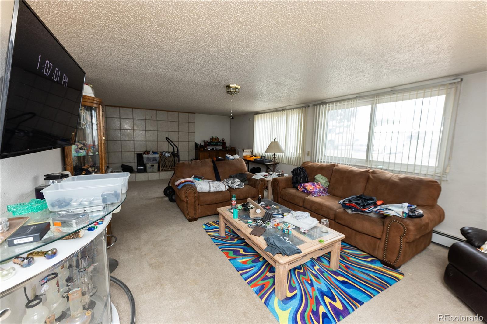 MLS Image #18 for 20  mount blanca court,monte vista, Colorado