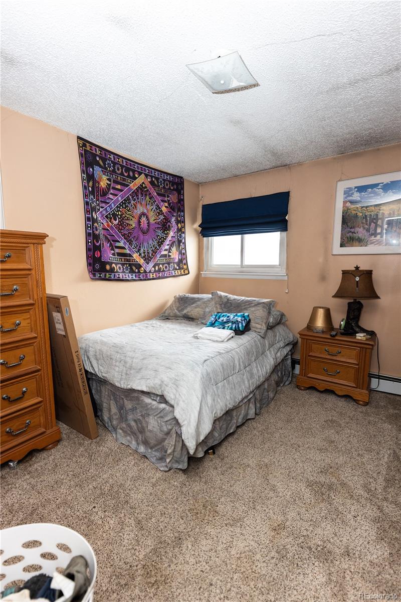 MLS Image #7 for 20  mount blanca court,monte vista, Colorado