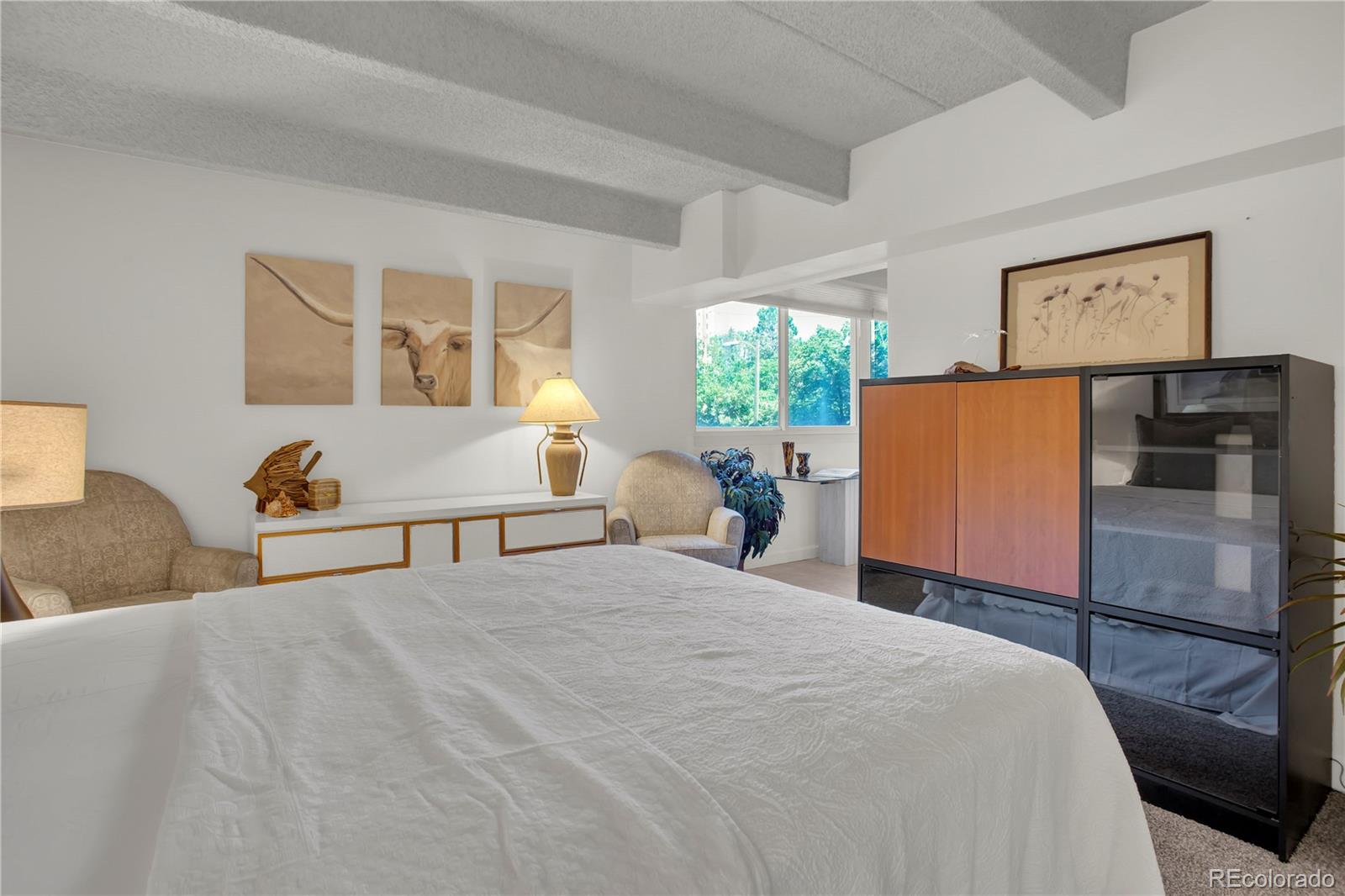 MLS Image #16 for 777 n washington street 205,denver, Colorado