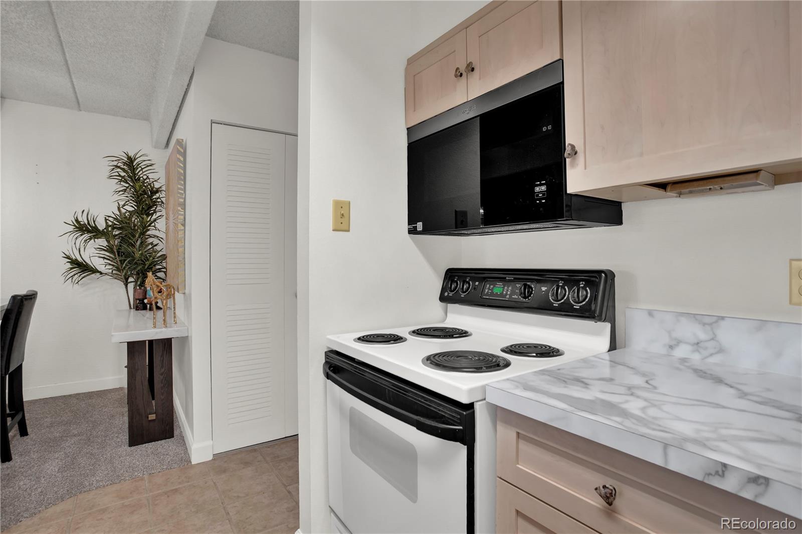 MLS Image #7 for 777 n washington street 205,denver, Colorado