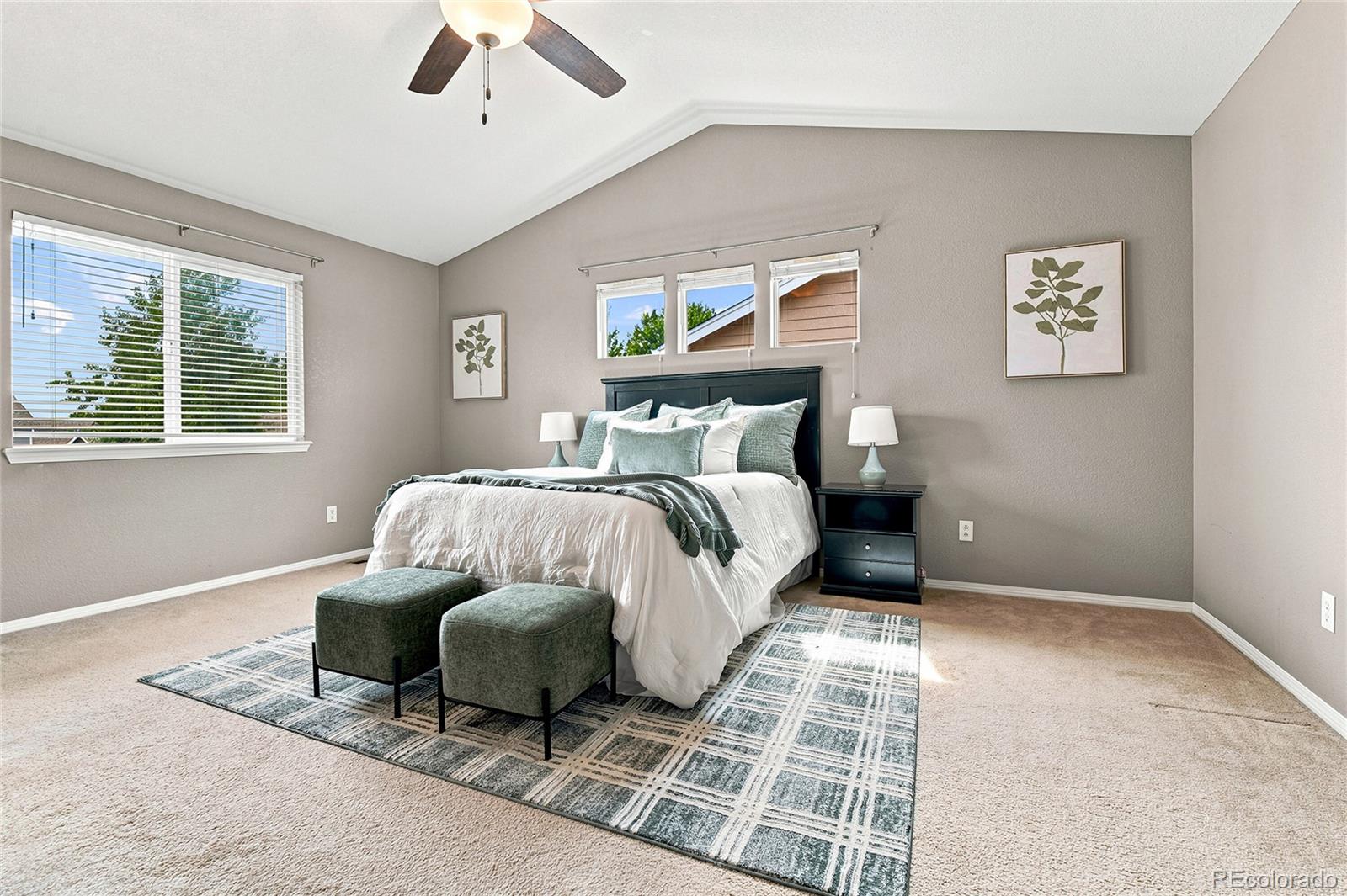 MLS Image #20 for 330  short drive,dacono, Colorado