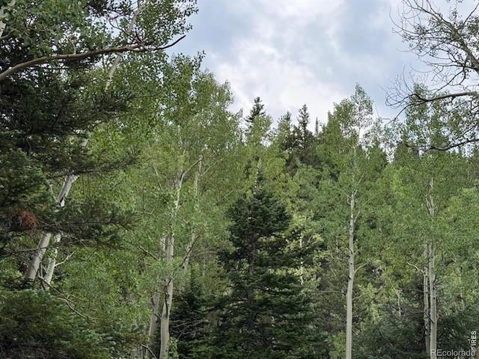 MLS Image #9 for 970  bryan avenue,nederland, Colorado