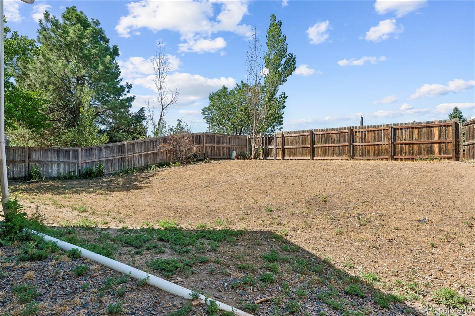 MLS Image #17 for 16655  ninebark way,parker, Colorado